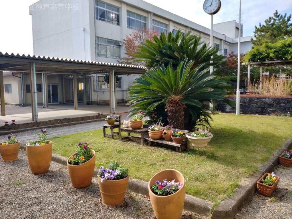 硬式野球部 神高恒例 秋の花の植え替えボランティア 三重県立神戸高等学校 硬式野球部 神高恒例 秋の花の植え替えボランティア 三重県立神戸高等学校