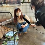 【放送部】鈴鹿ヴォイスFM「こちなん!!」、6/5はふれあいどうぶつカフェfuu